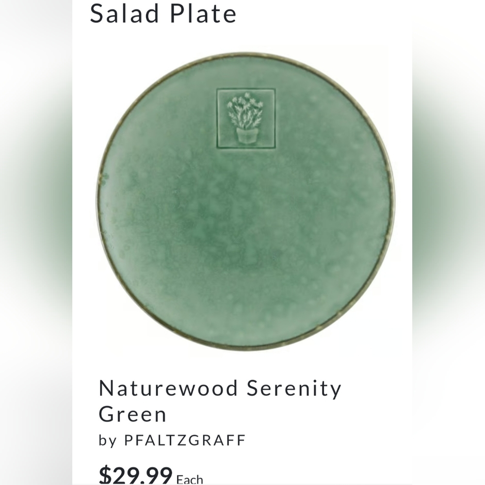 Pfaltzgraff 8 1/4" "Naturewood Serenity" Jade Celadon Green Salad Snack 1 Plate
